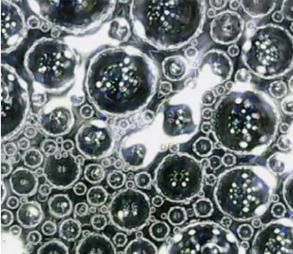 During: a modification reaction takes place everywhere in the shingle